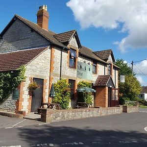 The Walnut Tree